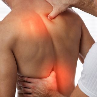 Régénération du cartilage